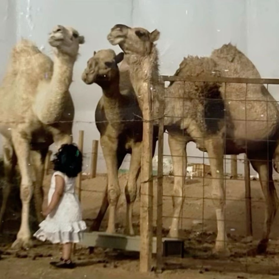 وضحى ال صبيح