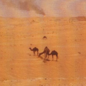 رعبـوبة 🪶