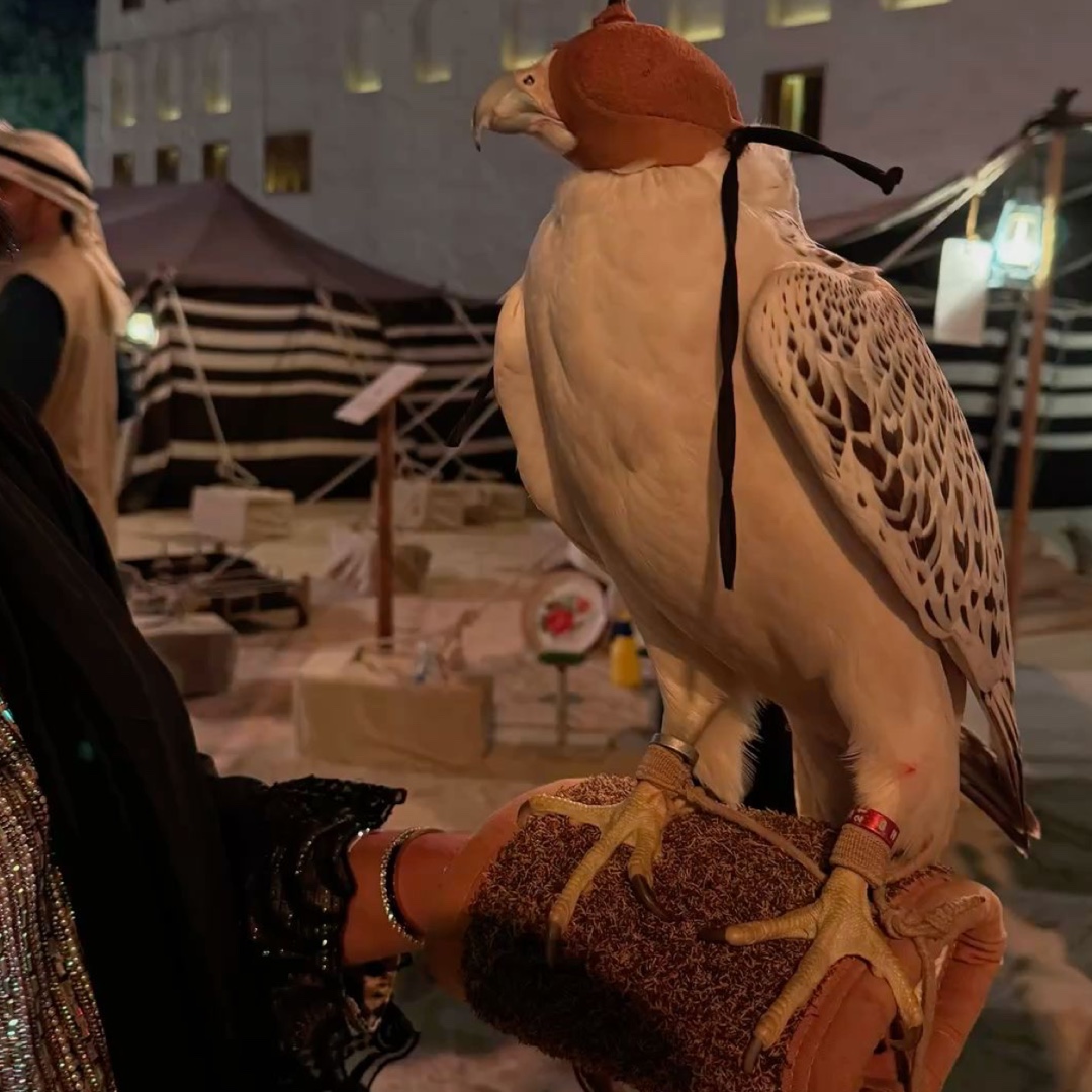 الـمـطـيـر❣️ .